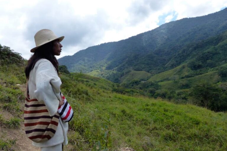 billet 11 kogis ejulien 2014 min