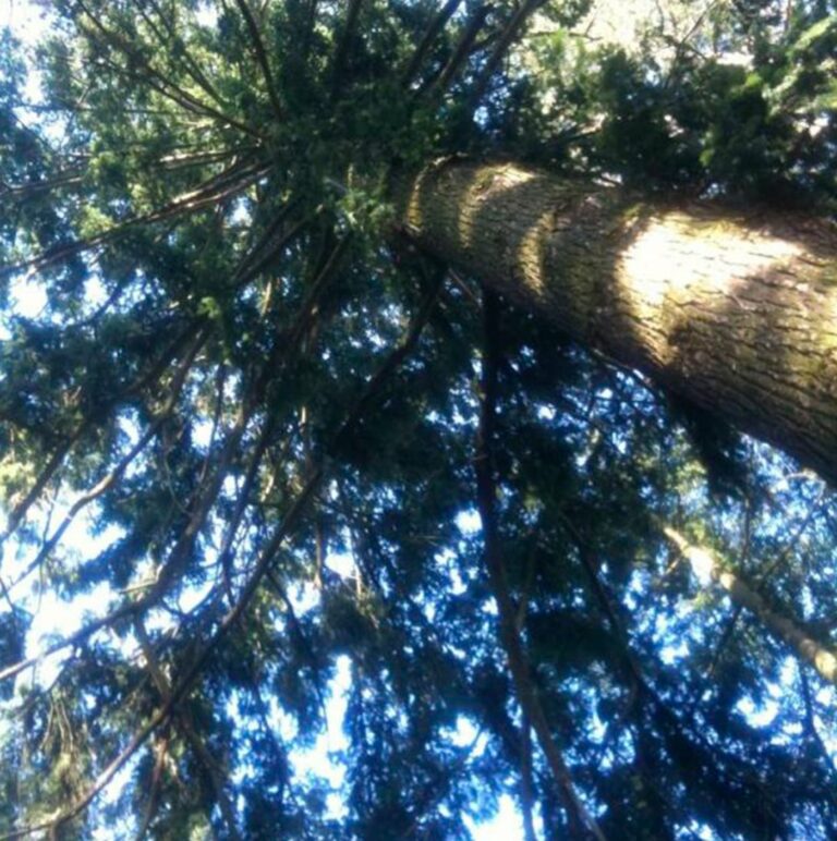 mathilde vermer 1 min