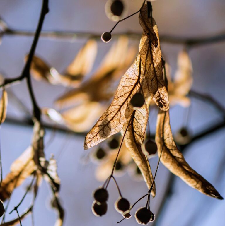 stinemoeengelsrud min