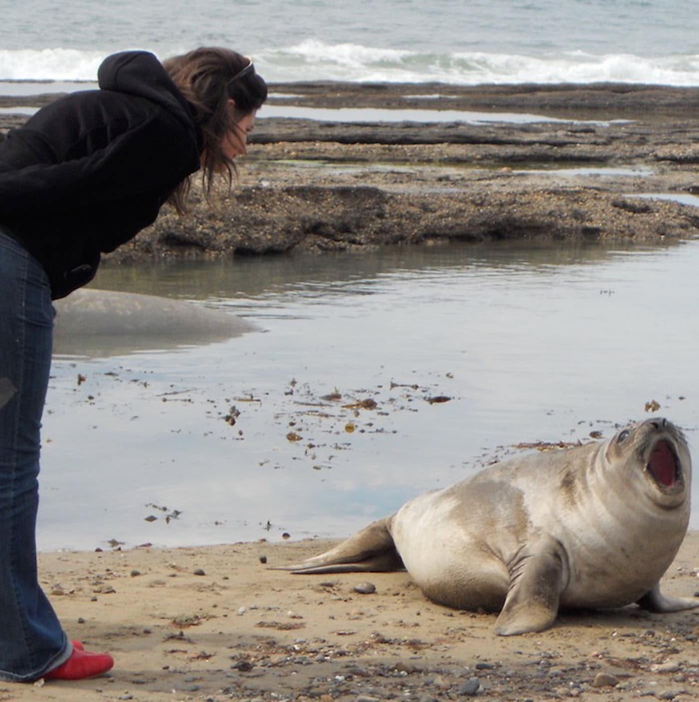 Chronique de l’Ailleurs n°42 – CARNET DE VOYAGE : ARGENTINE, NOVEMBRE 2012