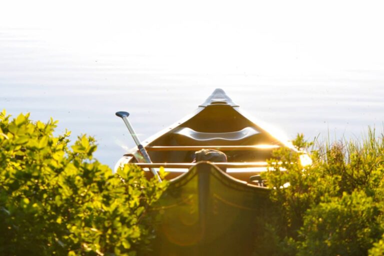 voeux 2018 cap sur optimisme e1515795346890 min