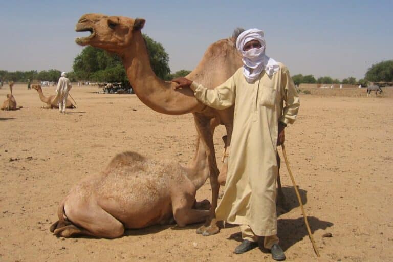 billet 30 tchad 2005 min