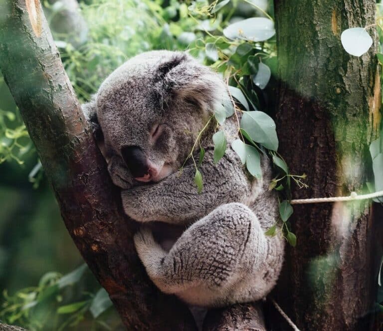 jordan whitt EerxztHCjM8 unsplash e1648657015539