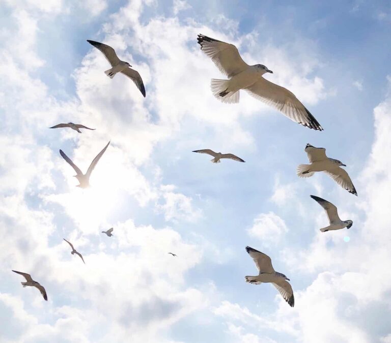 jenna lee y UoVbNBU Q unsplash