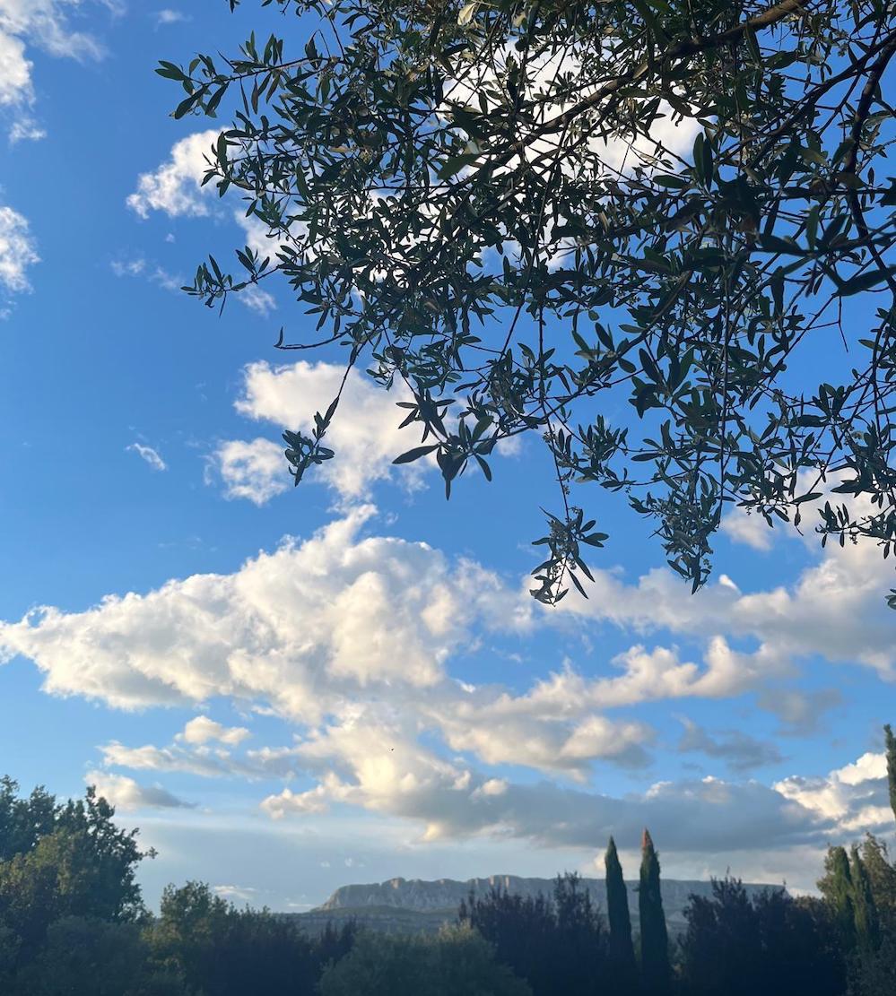 2024 / 11 : SUR TOUS MES CHIFFONS D’AZUR